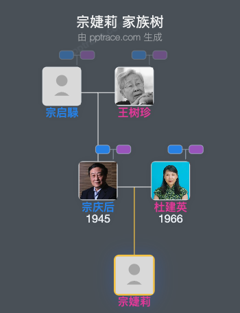 宗婕莉 家族树全览