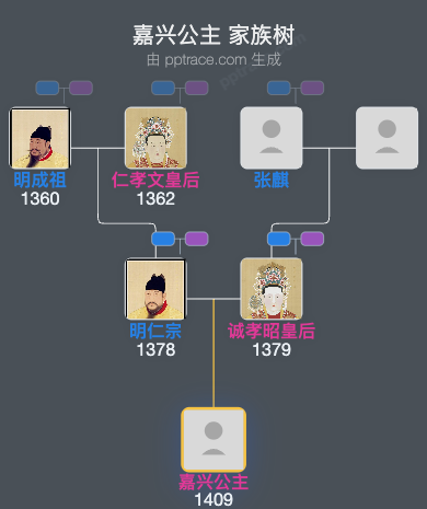 嘉兴公主家族树全览