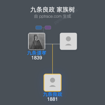 九条良政家族树全览