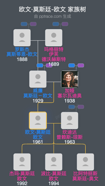欧文·莫斯廷-欧文家族树全览
