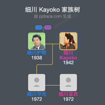 细川 Kayoko家族树全览