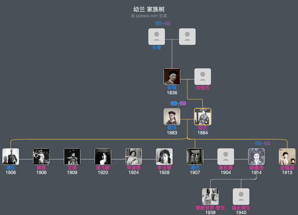 幼兰家族树全览