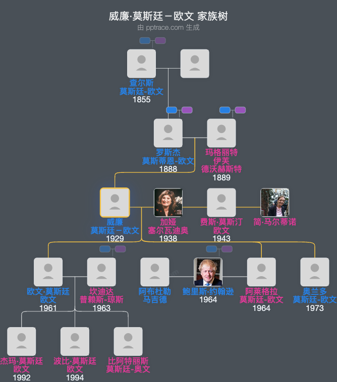 威廉·莫斯廷－欧文家族树全览
