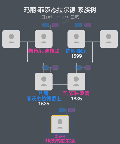 玛丽·菲茨杰拉尔德家族树全览
