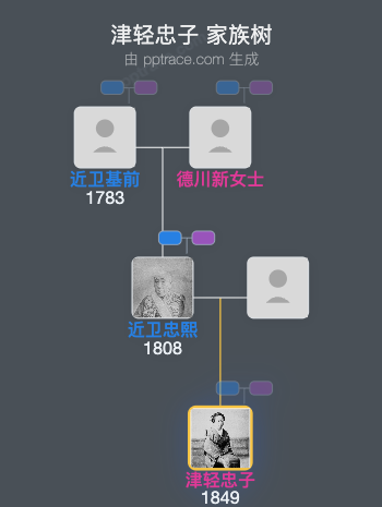 津轻忠子家族树全览