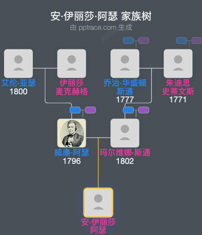 安·伊丽莎·阿瑟家族树全览