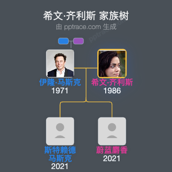 希文·齐利斯 家族树全览