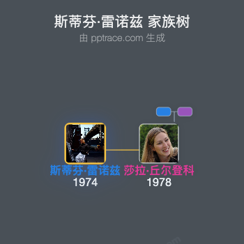 斯蒂芬·雷诺兹家族树全览