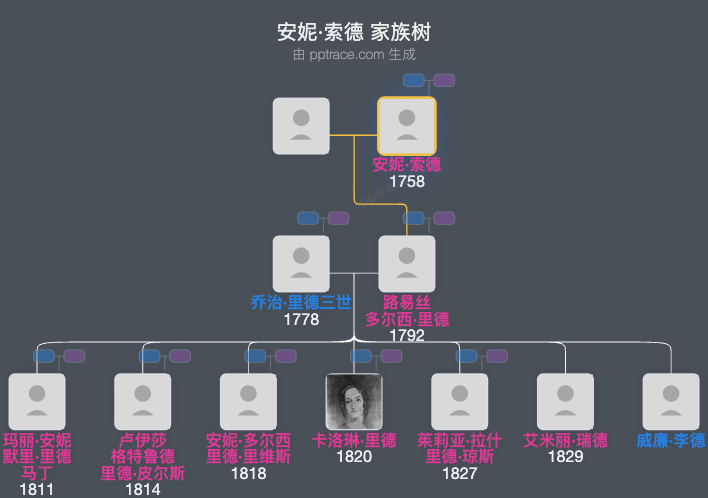 安妮·索德家族树全览