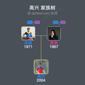 高兴 家族树全览