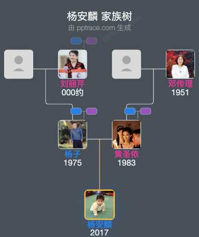 杨安麟 家族树全览