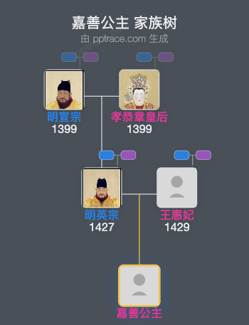 嘉善公主家族树全览