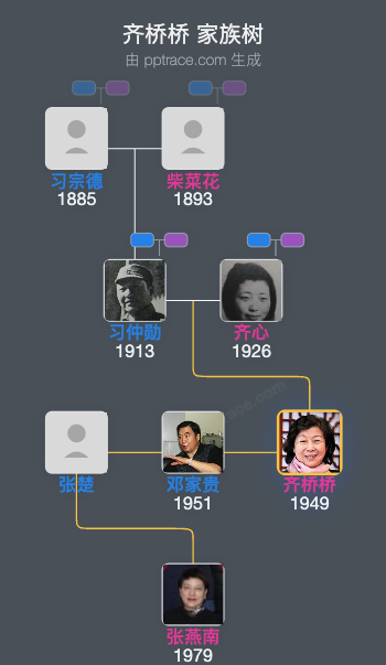 齐桥桥 家族树全览