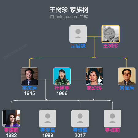 王树珍 家族树全览