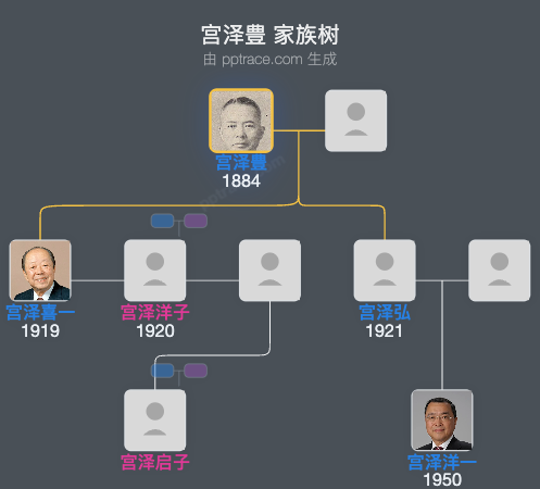 宫泽豊家族树全览