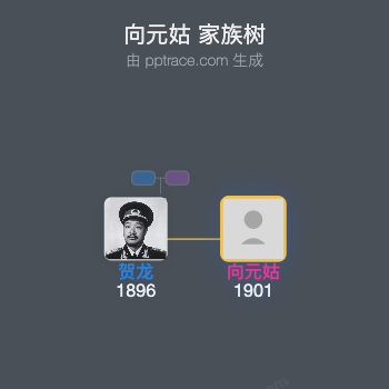 向元姑 家族树全览