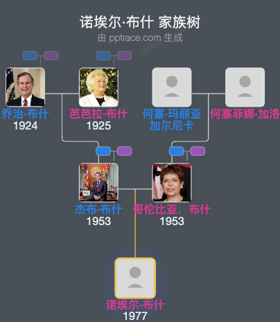 诺埃尔·布什家族树全览