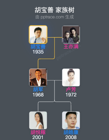胡宝善 家族树全览
