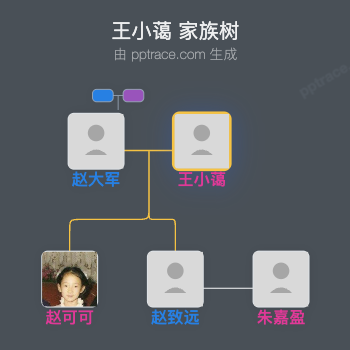 王小蔼 家族树全览