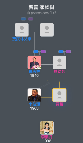 贾蔷 家族树全览