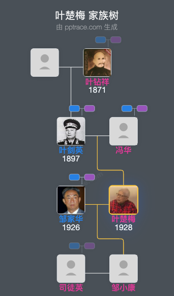 叶楚梅 家族树全览