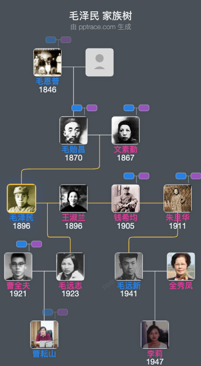 毛泽民 家族树全览