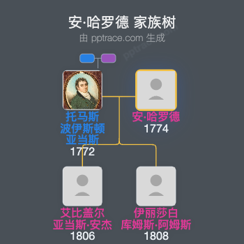 安·哈罗德家族树全览