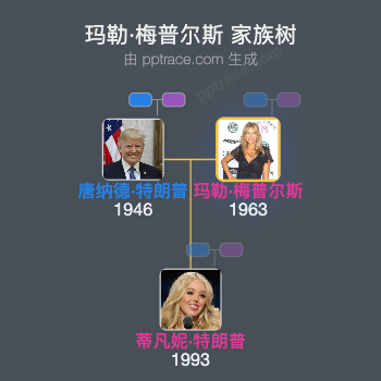 玛勒·梅普尔斯 家族树全览