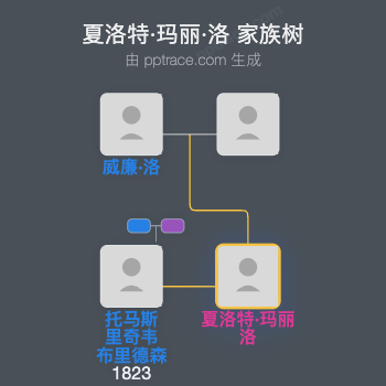 夏洛特·玛丽·洛家族树全览