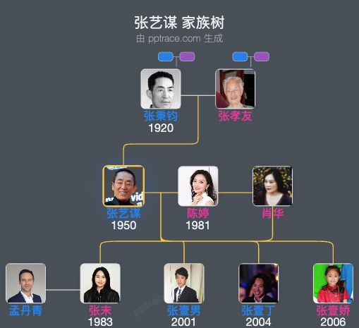 张艺谋 家族树全览