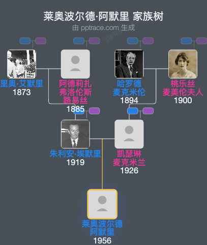 莱奥波尔德·阿默里家族树全览