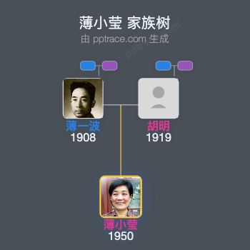 薄小莹 家族树全览