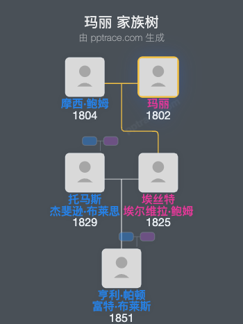玛丽家族树全览