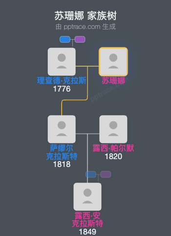 苏珊娜家族树全览