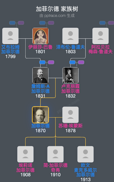 加菲尔德家族树全览