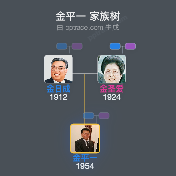 金平一 家族树全览