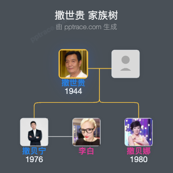 撒世贵 家族树全览