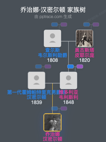 乔治娜·汉密尔顿家族树全览