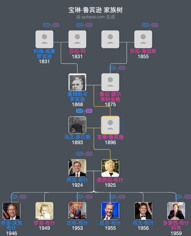宝琳·鲁宾逊家族树全览