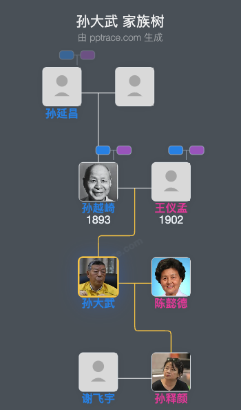 孙大武 家族树全览