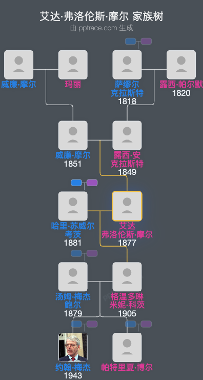 艾达·弗洛伦斯·摩尔家族树全览