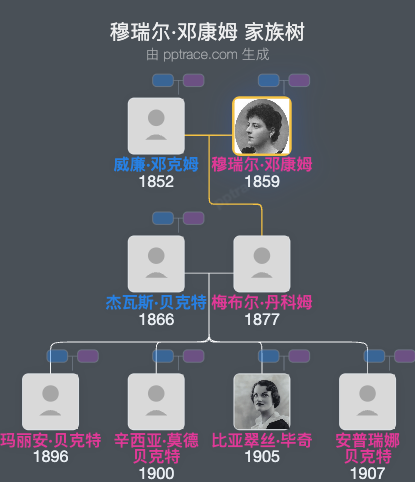 穆瑞尔·邓康姆，赫姆斯利子爵夫人家族树全览