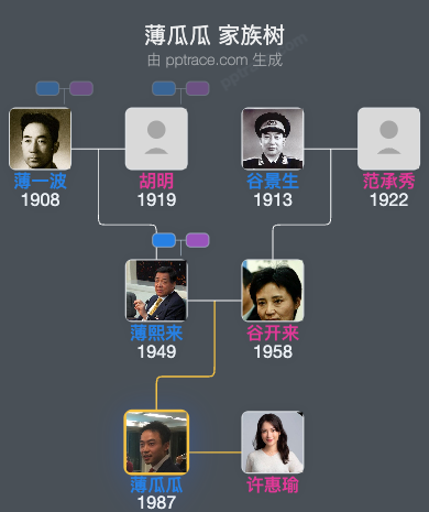 薄瓜瓜 家族树全览