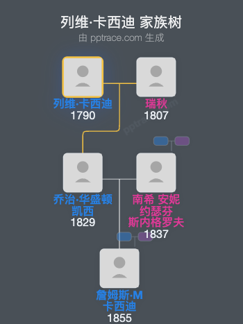 列维·卡西迪家族树全览
