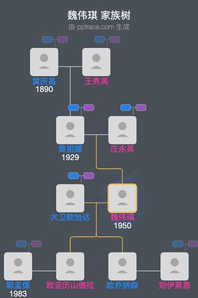 魏伟琪 家族树全览