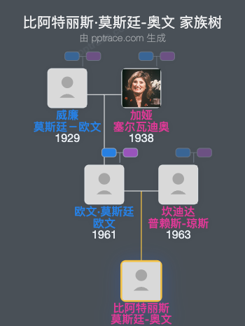 比阿特丽斯·莫斯廷-奥文家族树全览