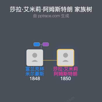 莎拉·艾米莉·阿姆斯特朗家族树全览
