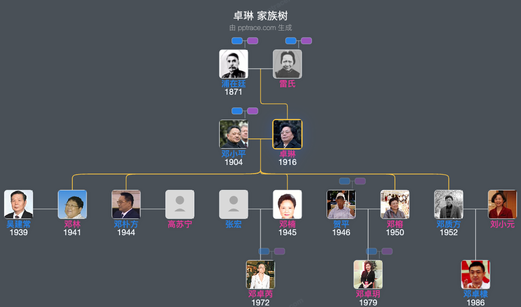 卓琳 家族树全览