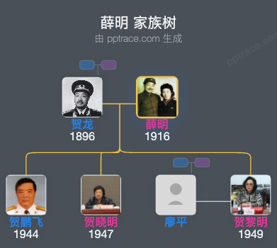 薛明 家族树全览