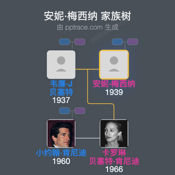 安妮·梅西纳家族树全览